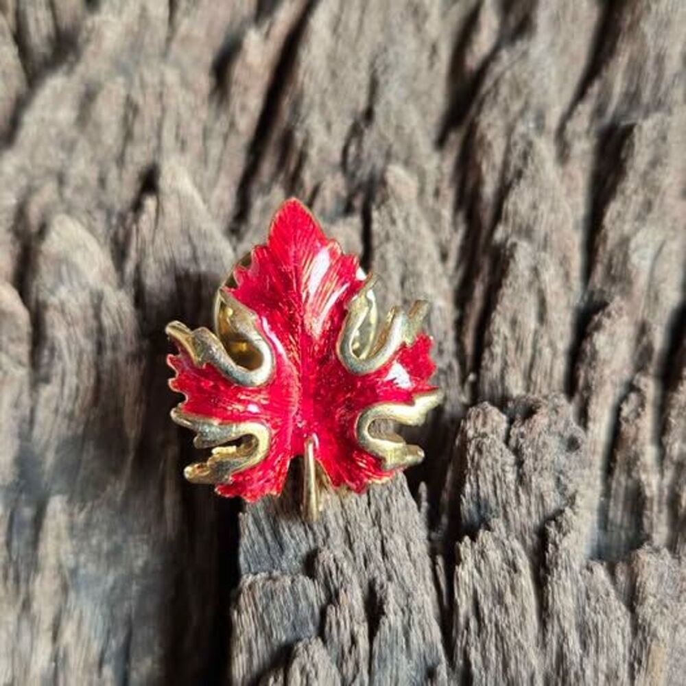 vintage red enamel maple leaf brooch - Picture 1 of 5